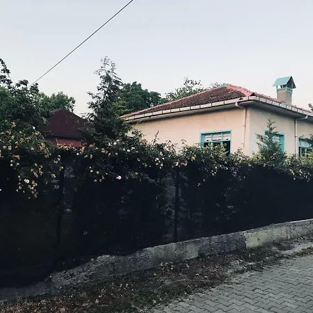 Beyaz Sapanca