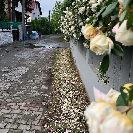 Villa Beyaz *